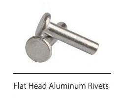 Aluminum Solid Button Head Rivets Zinc Plated Pin Flat Head Step Rivet Made in China Turning Rivet Rivet Steel Rivet DIN124 Hardware Rivet Screw