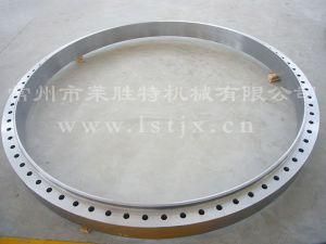 High Quality Smoothness S31603 Flange