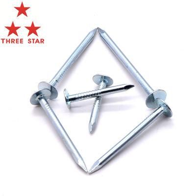 Hot Dipped Galvanized Clout Head Nail Cupper Nails Flat Head Roofing Nails