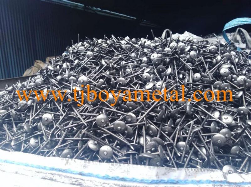 Color Umbrella Head Roofing Nail Umberlla Head Umbrella Type Roofing Nails Color Umbrella Head Roofing Nail with Washer From Factory