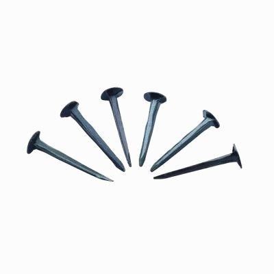 1/2&quot; 3/4&quot; Bule Shoe Tack Nail for Shoes