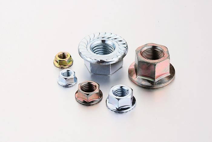 DIN6923 Ss201 SS304 SS316 M6 M7 M8 M10 Large Hex Flange Nut with Serrated