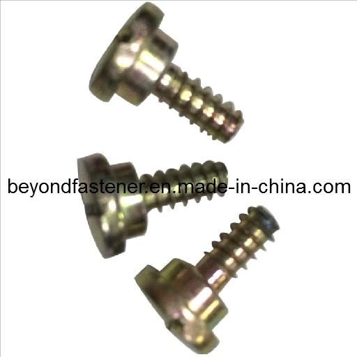 Special Screw Bolts Factory