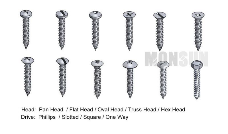 Type C /Type Ab Slotted Flat Countersunk Head Self Tapping Screws