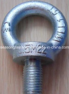 Forged Eye Bolt / Eyebolt (DIN580)