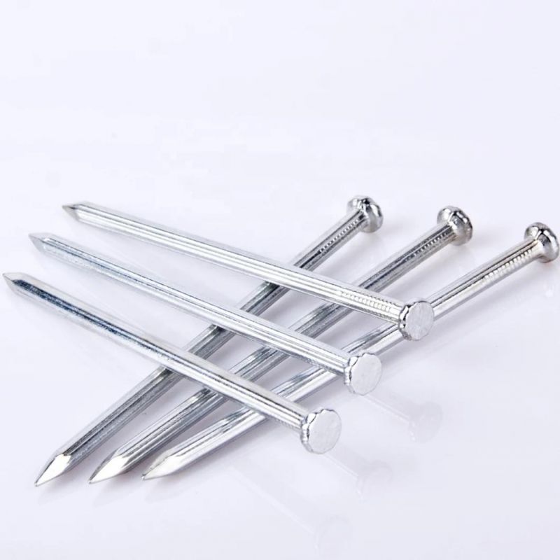 Large Head Galvanized Umbrella Roofing Nails/Concrete Nails/Common Nail Made in China