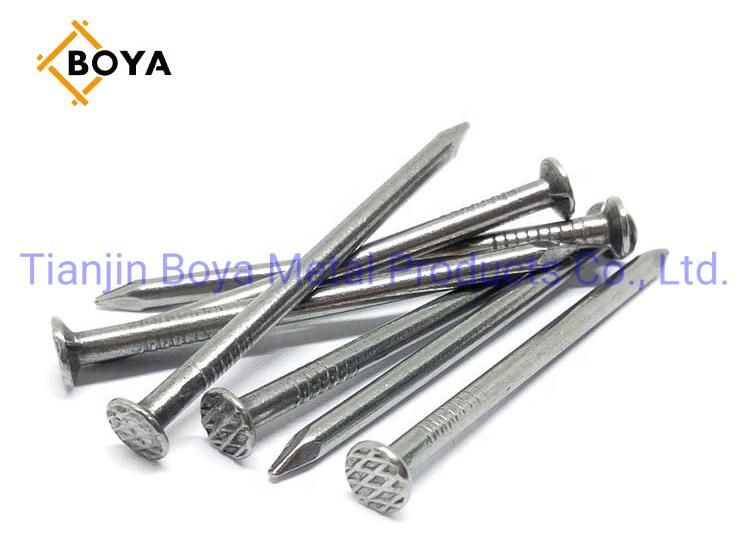Best Quality Carbon Steel Common Iron Nail/Galvanized Nail/Building Nail/Hardware