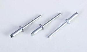 Factory According to The Sample Production Open End Blind Rivet