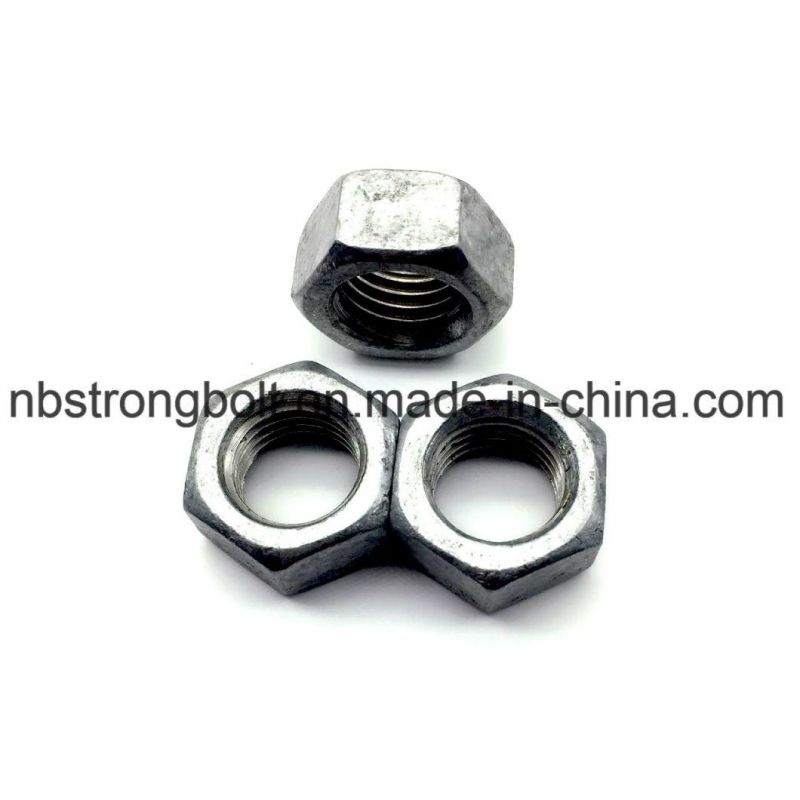 Hex Nut