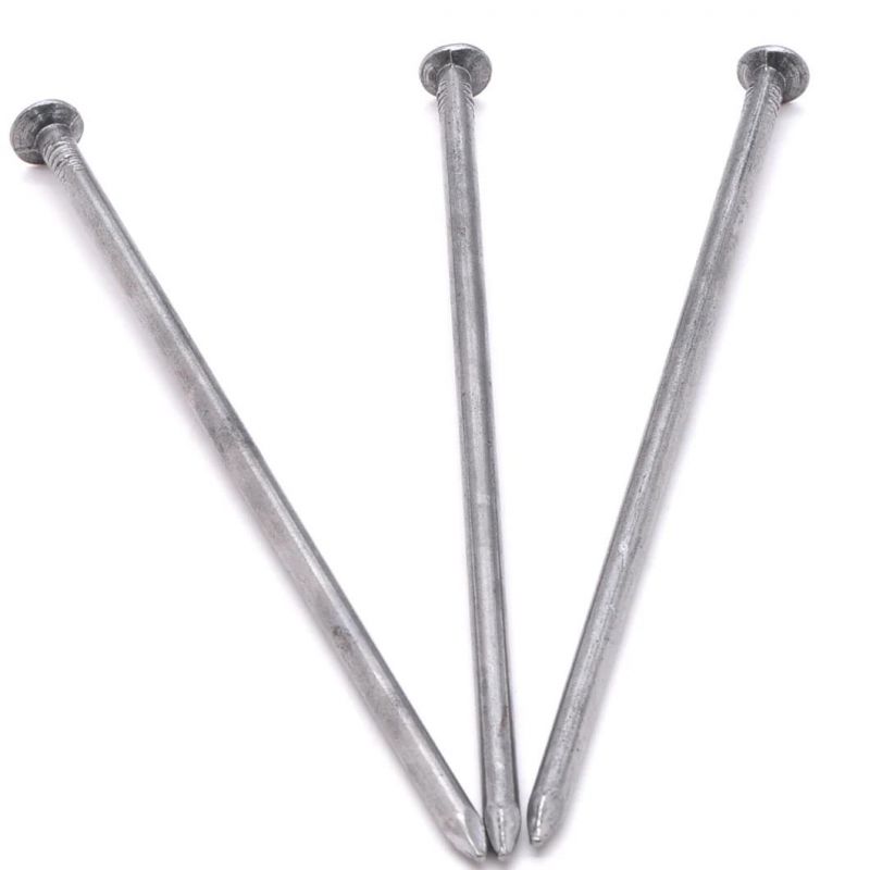 Polished Construction Common Wire Round Nail
