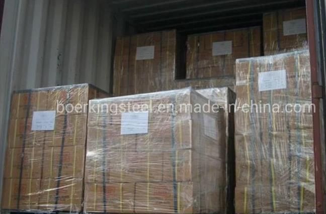 ANSI B16.5 Forged Stainless Steel SS304/SS316 Flat Flanges