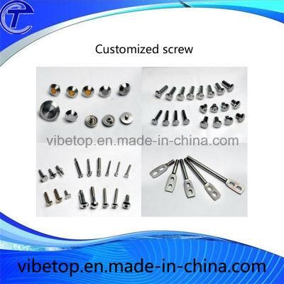 China Screw Manufacturer Flat Head Screw Machine Screw
