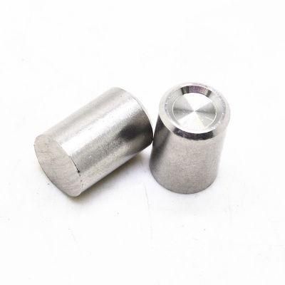 Stainless Steel SS304 SS316 Straight Pin Cylindrical Pin