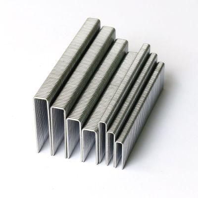 92 Galvanized Strip Nails for Interior Decoration