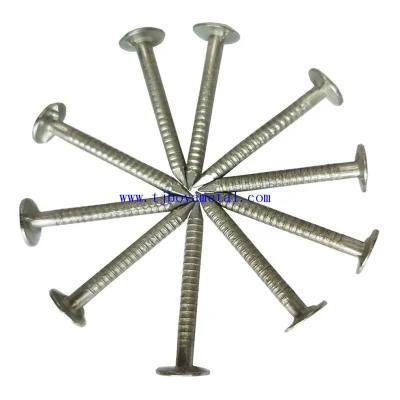 Ring Shank Nails/Smooth Spiral Ring Shank Nails for Building and Construction