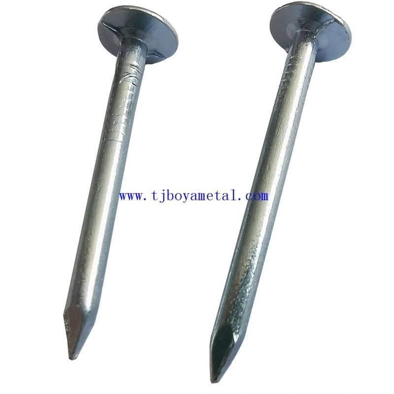 High Quality Flat Bottom Hat China Factory Polished Galvanized Building Furniture Common Round Big Head Clout Nail