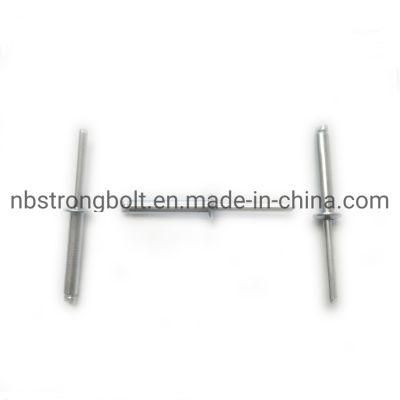 China High Quality Blind Rivet