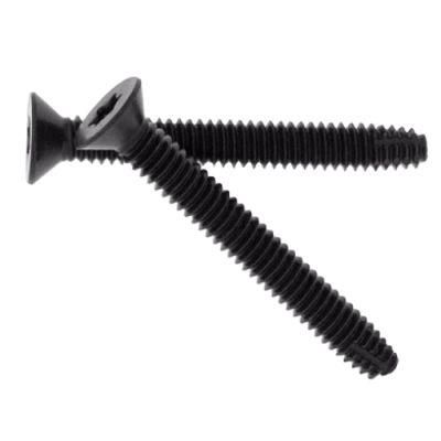 Torx Drive Flat Head Type F Thread Floorboard Cutting Screw C1022 Black