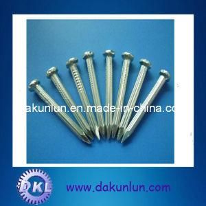Concrete Screw with High Quality and Competitive Price