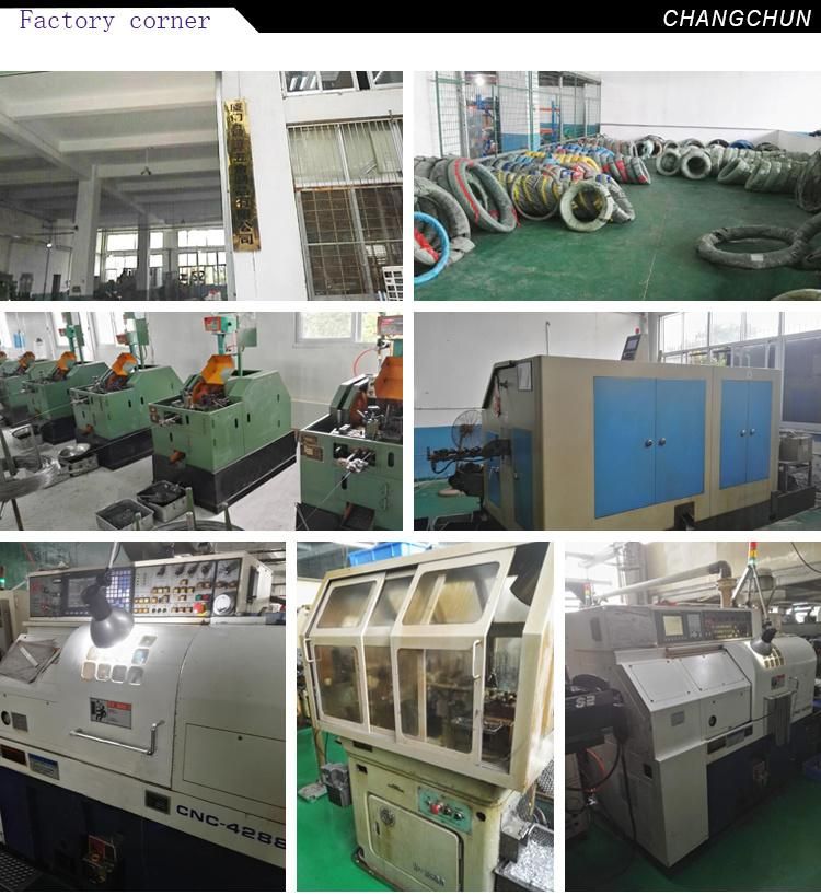 Carbon Steel 4.8/8.8/10.9 Fasteners Non-Standard Rivet/Pin Customized Truss Head Screw