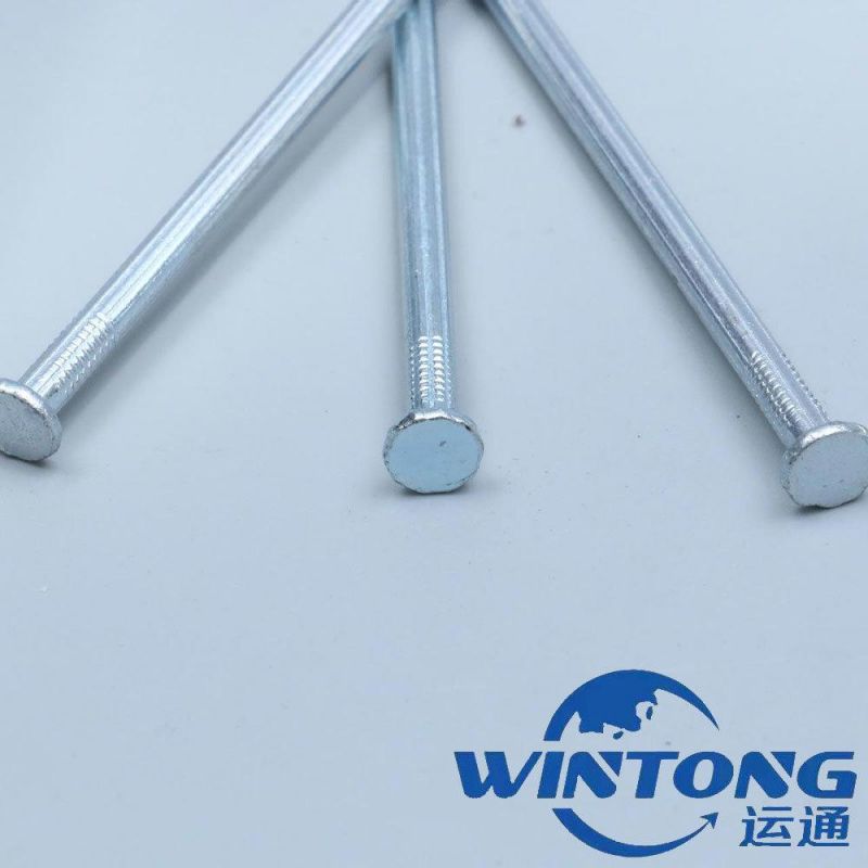 Electric Galvanized Concrete Steel Nails /Roofing Nail