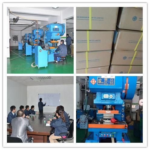 All Kind of Spring Washer with Yellow Zinc Plating (HS-SW-0012)