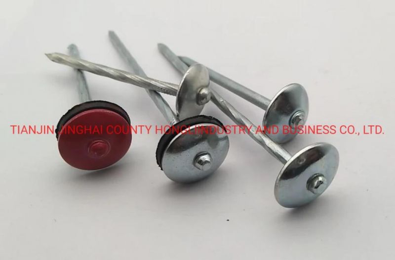 3" X 9ga 25kg Box Galvanised Roofing Nails Umbrella Head with Rubber Washer