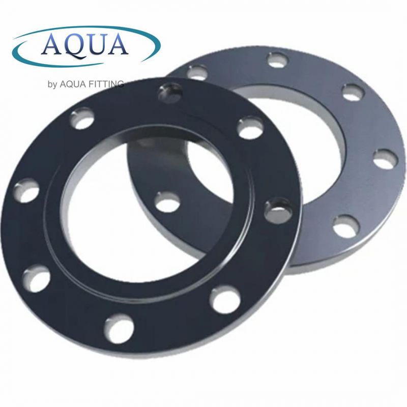 ASME/ANSI/DIN/GOST/BS En 150#-2500 Carbon Steel Plate Flat Face Pipe Flange