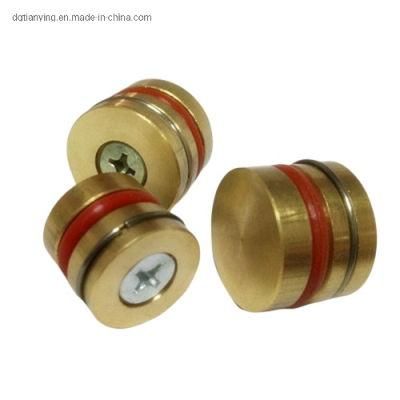 Plastic Injection Mould Screw Brass Threadless Pressure Plug