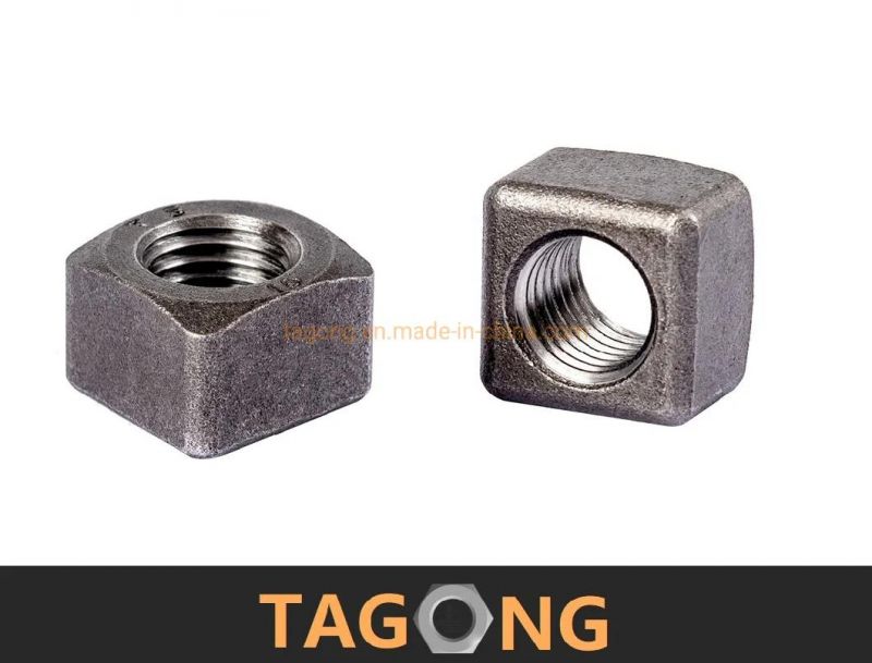 Carbon Class12 6h M20 Square Nuts Truck Nuts