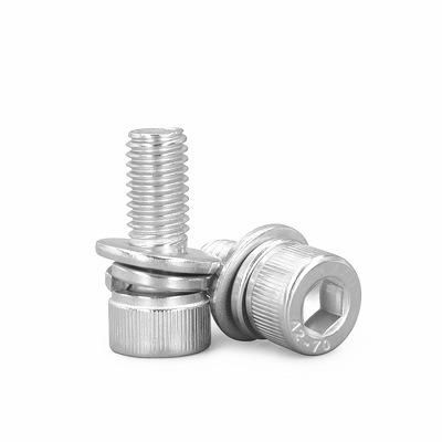 Ss Polishing Hex Socket Combined Screw