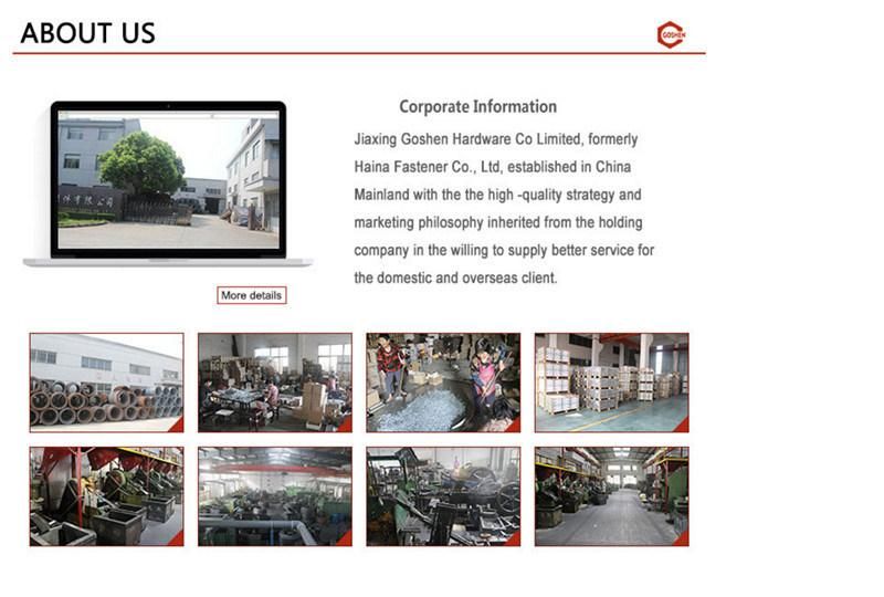 Stainless Steel, Carbon Steel Bolt with High Quality