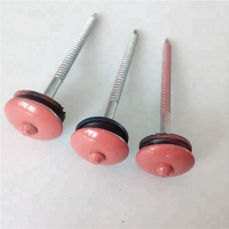 Color Head Electro Galvanized Ring Shank Umbrella Roofing Nail
