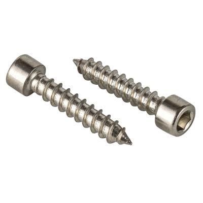 Self Tapping Screw, Socket Head Self Tapping Screw