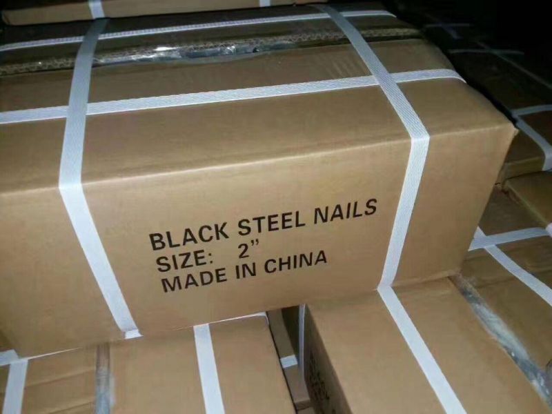 All Sizes Cement Nail Concrete Nails Screw Nail Galvanized Concrete Nail