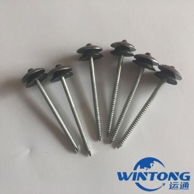 Roofing Nail for Umbrella Tip, Roofing Nail Manufacturing, Roonfing Nail Wholesale