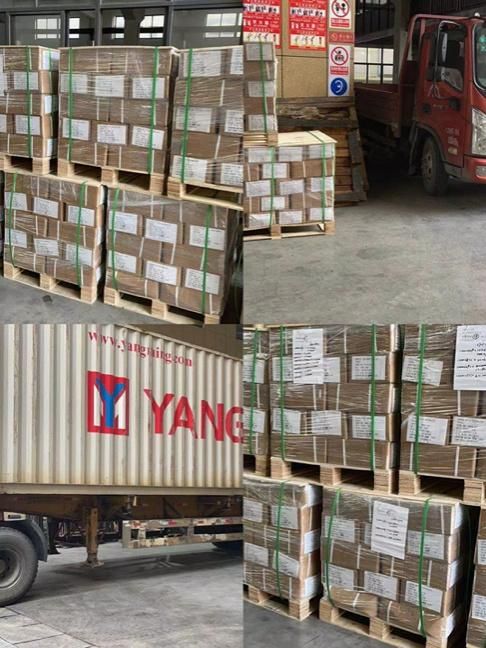 Flange Screw St6.3*22 Used in Automatic Washing Machine