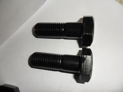 M22*80 A325 &amp; A490 Hex Bolt with A563 Hex Nut