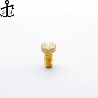 ISO 1580 Brass M2 Slotted Pan Head Machine Screws Made in China