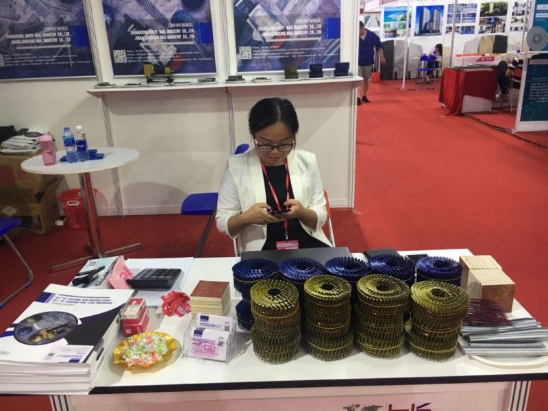 Galvanized Roofing Nails with Color Gasket Factory Price From China Dezhou City