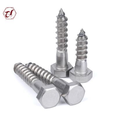 Common Bolt DIN571 Stainless Steel 316 Lag Wood Screw
