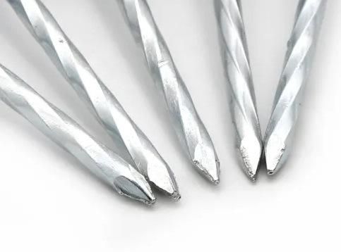 Galvanized Smooth/Twisted Shank 2.5"*Bwg9 Umbrella Head Roofing Nails for Africa Market