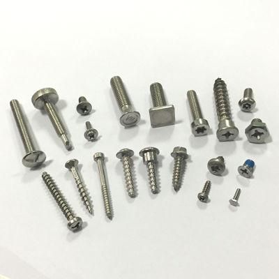 Custom Screw 304/316/316L Stainless Steel Machine Screw Self-Tapping Screw