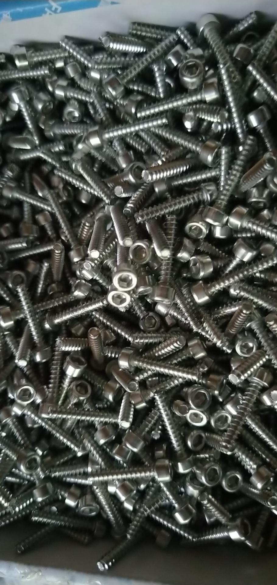 Stainless Steel Hexagon Socket Self Tapping Screw