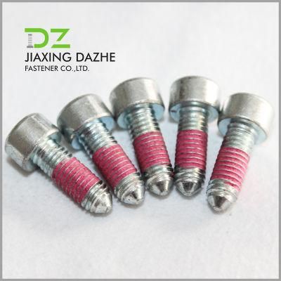 Hexagon Cap Screw with Nylok Machine Screw