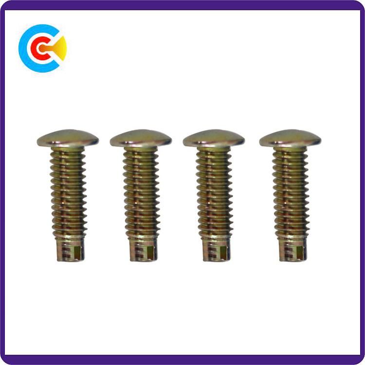 Carbon Steel 4.8/8.8/10.9 Fasteners Non-Standard Rivet/Pin Customized Truss Head Screw