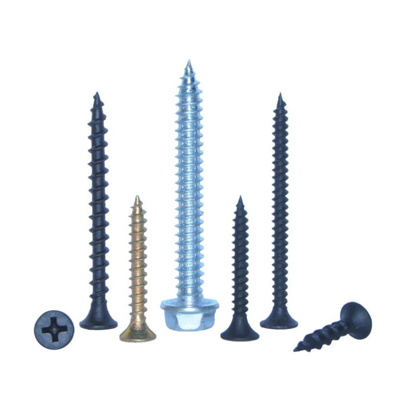 Congo Namibia Zambia Market/Black Drywall Screw Galvanized Drywall Screw