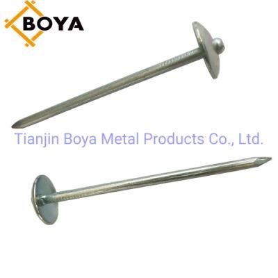 Good Quality Galvanized Umbrealla Head Roofing Nails Lowprice
