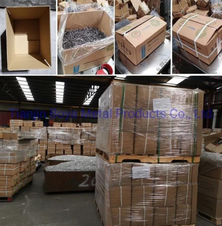 Q195 Polishing Common Nail/Steel Nail/Iron Nail/Building Nail/Galvanized Nail