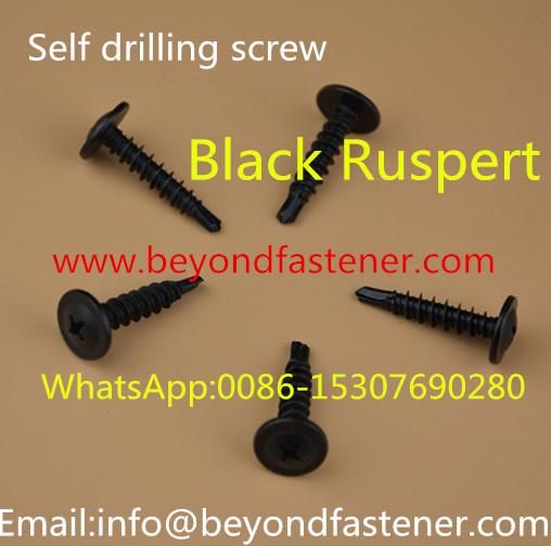Screw Fastener Pan Head Self Drilling Screw Self Tapping Screw DIN7504 SUS Screw Taiwan Screw